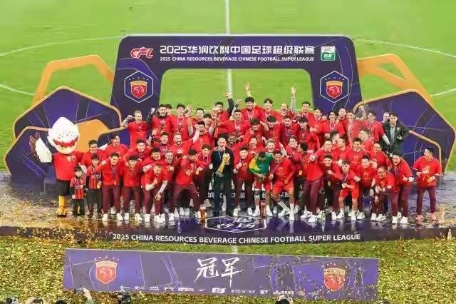 顶尖球队齐聚赛场，争夺胜利无比激烈的简单介绍